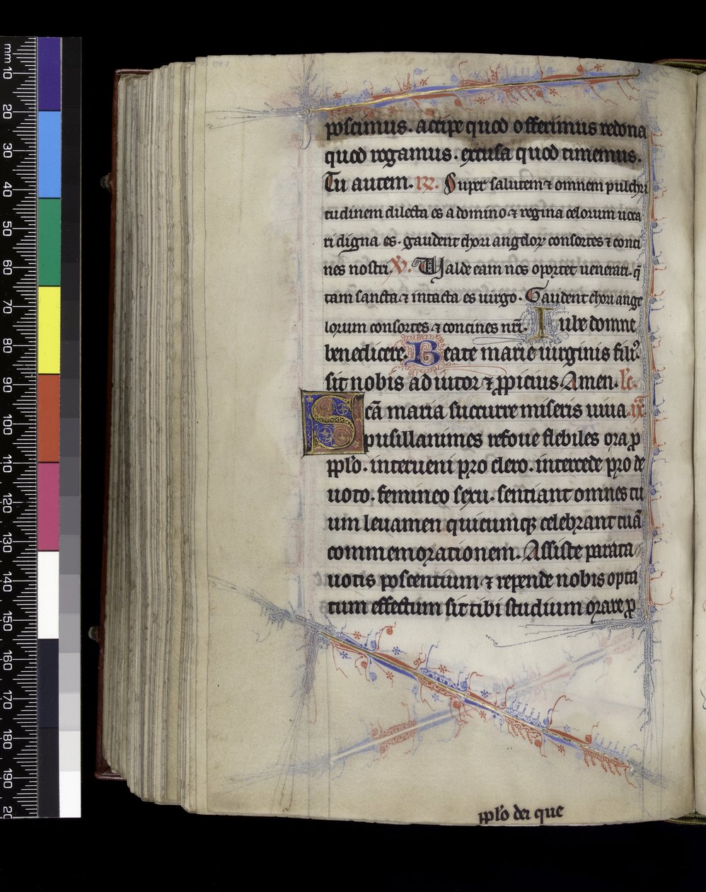 MS 300 f.189v, Matinas, do Saltério e Horas de Isabel da França, Paris, c.1265-70 de French School