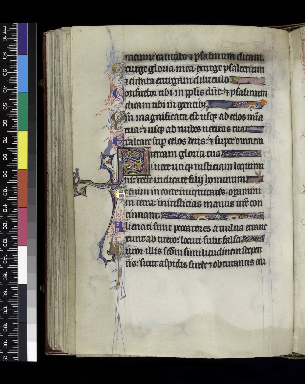 MS 300 f.61v, fólio do Saltério e Horas de Isabel da França, Paris, c.1265-70 de French School