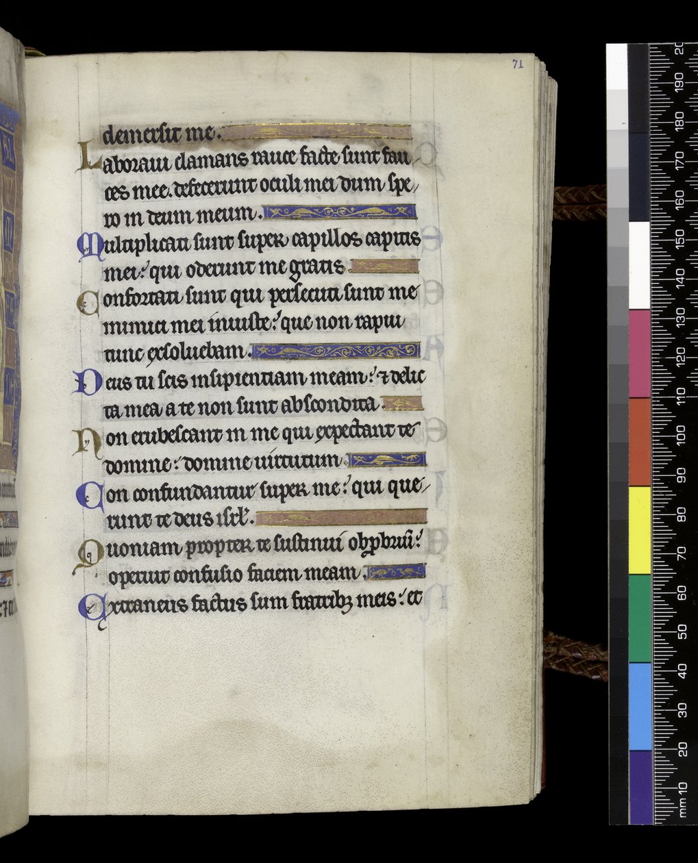 MS 300 f.71r, do Saltério e Horas de Isabella de França, Paris, c.1265-70 (caneta e tinta e têmpera sobre pergaminho) de French School
