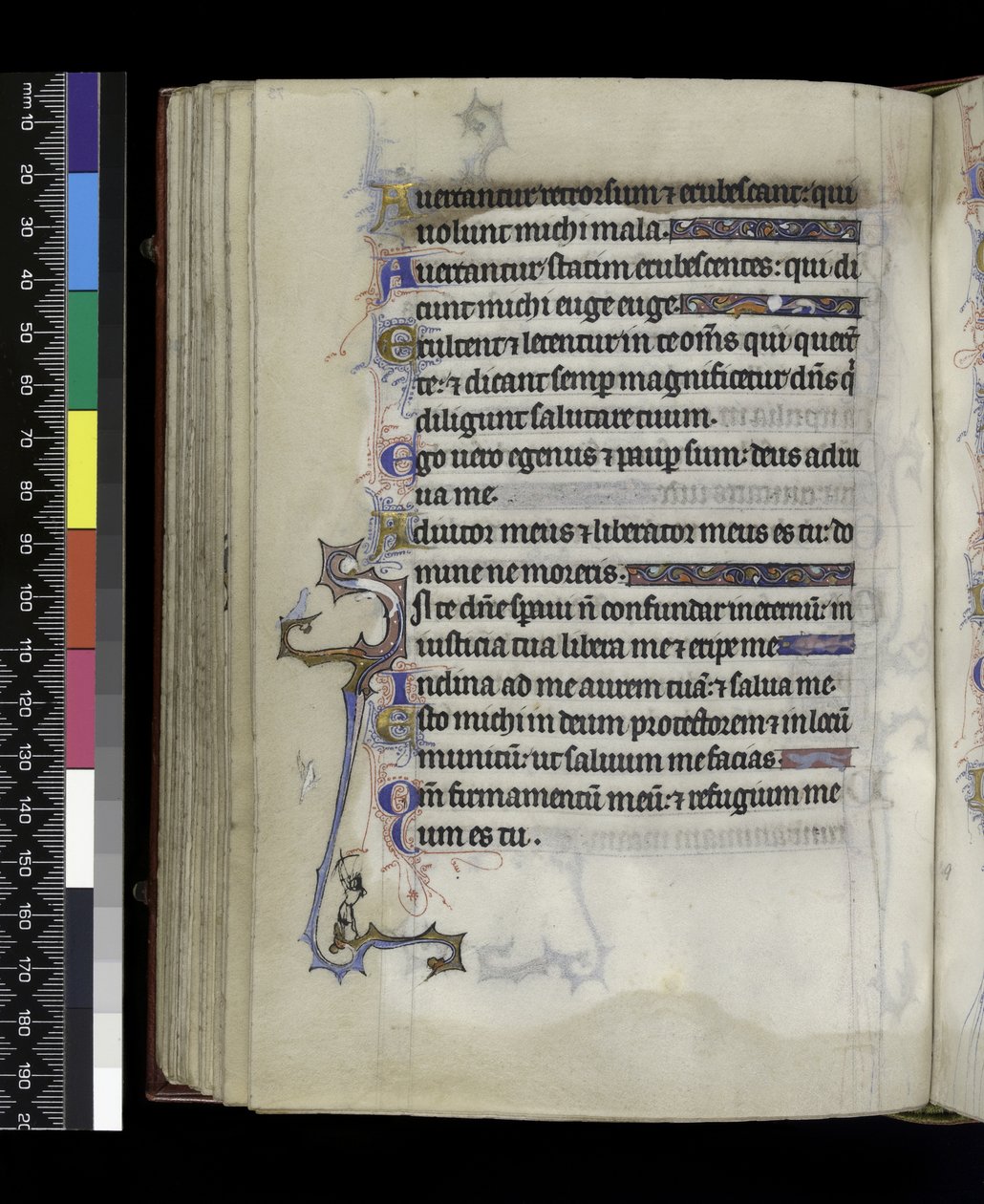 MS 300 f.73v, do Saltério e Horas de Isabel da França, Paris, c.1265-70 de French School