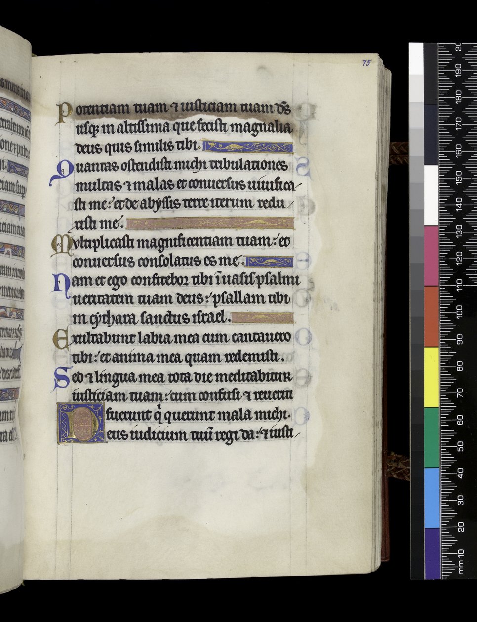 MS 300 f.75r, do Saltério e Horas de Isabella de França, Paris, c.1265-70 (caneta e tinta e têmpera sobre pergaminho) de French School