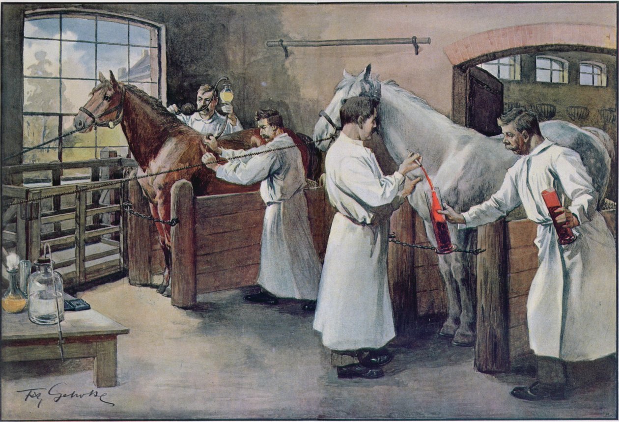 Fazendo o soro de difteria do sangue de cavalo, de Les Animaux, c.1900 de French School