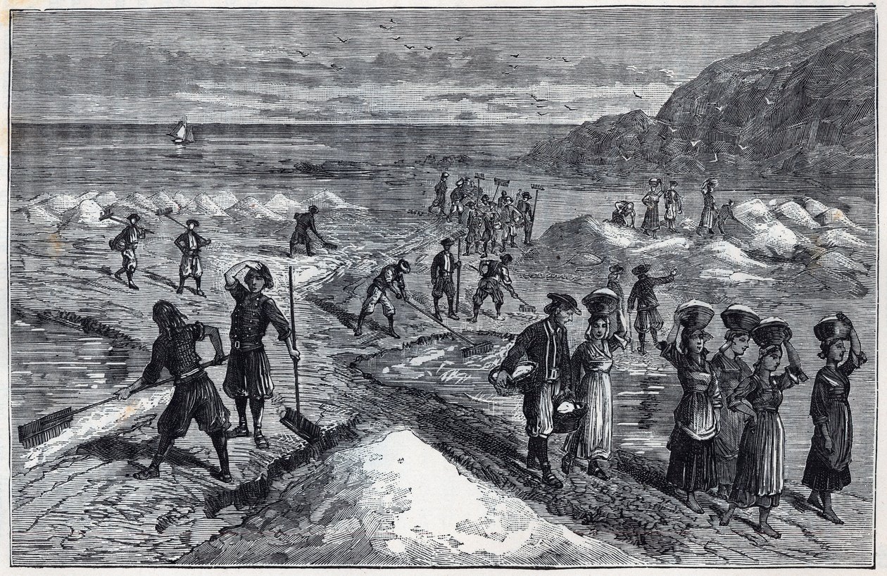 Marais salants de Bretagne no século XIX - Gravura em "Ciências trazidas ao agradecimento das bolsas - física e química" por Alexis Clerc - Final do século XIX - Coleção particular de French School