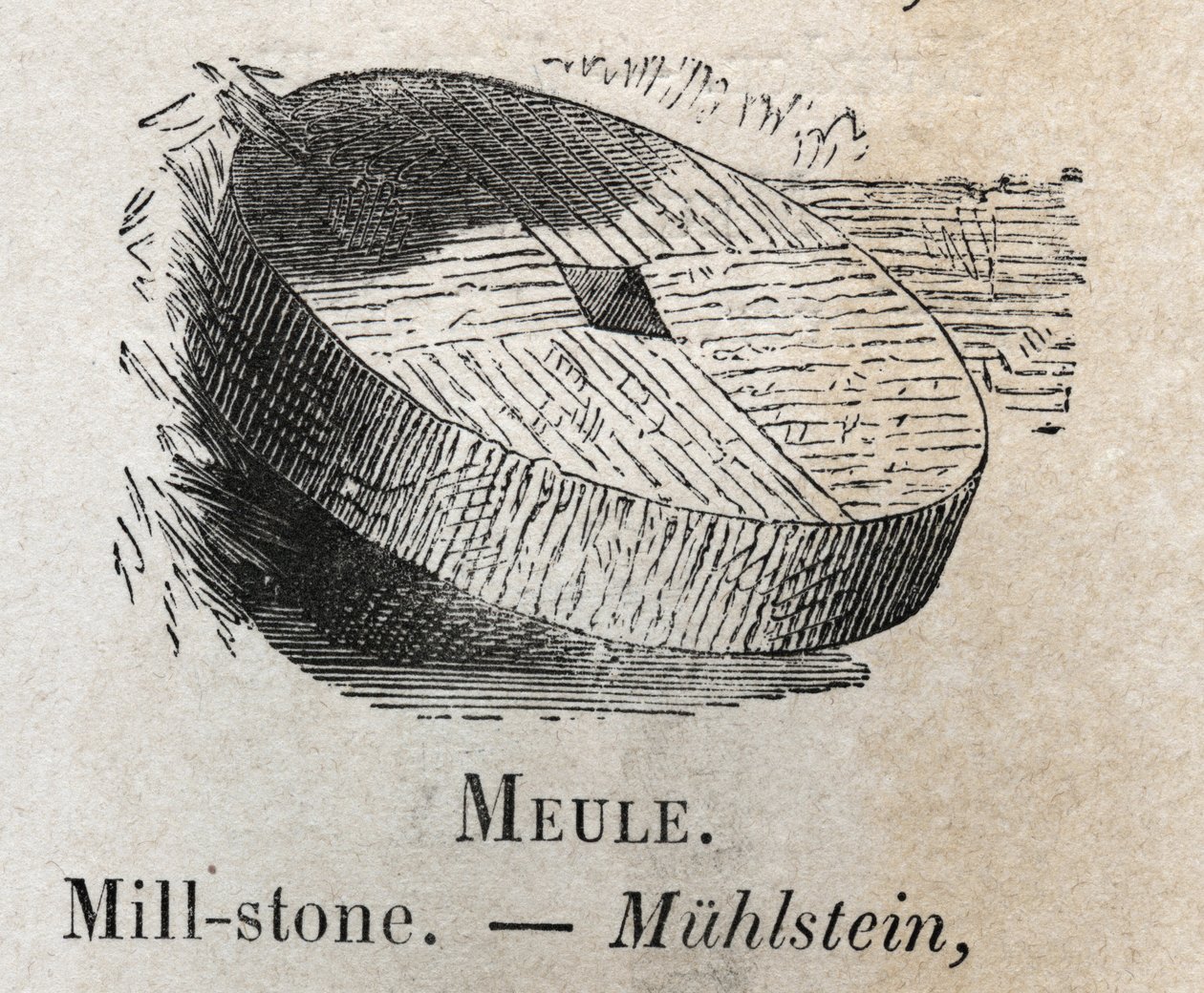 Mill-stone em "o vocabulário ilustra palavras comuns" por Armand Le-Brun. 1890 de French School