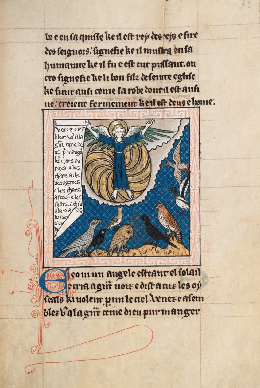 Ms65 f73r, Comentário sobre o Apocalipse de São João, final do século 13 (caneta e tinta e têmpera sobre velino) de French School
