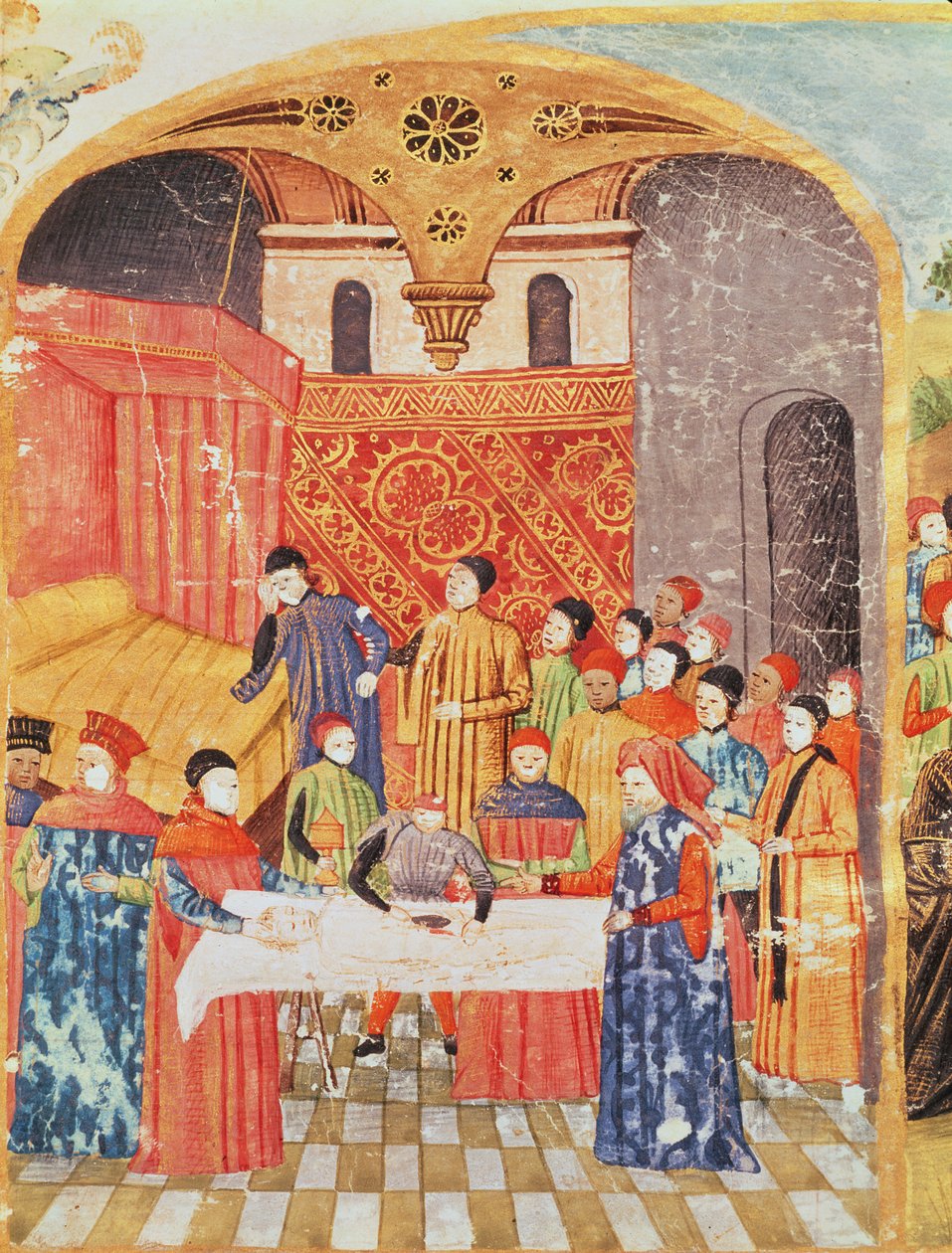 Ms 1335 f.219 Dissecção do corpo de Alexandre, o Grande, de Vie dAlexandre le Grand de French School