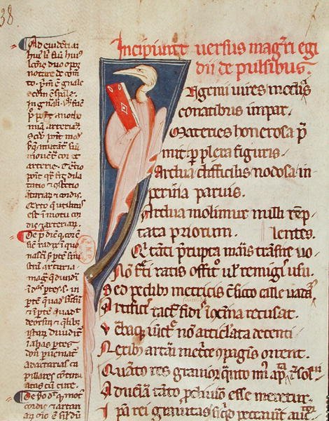 Ms 2046 fol.438 A bird holding a book by Gilles de Corbeil (1165-1222) from 