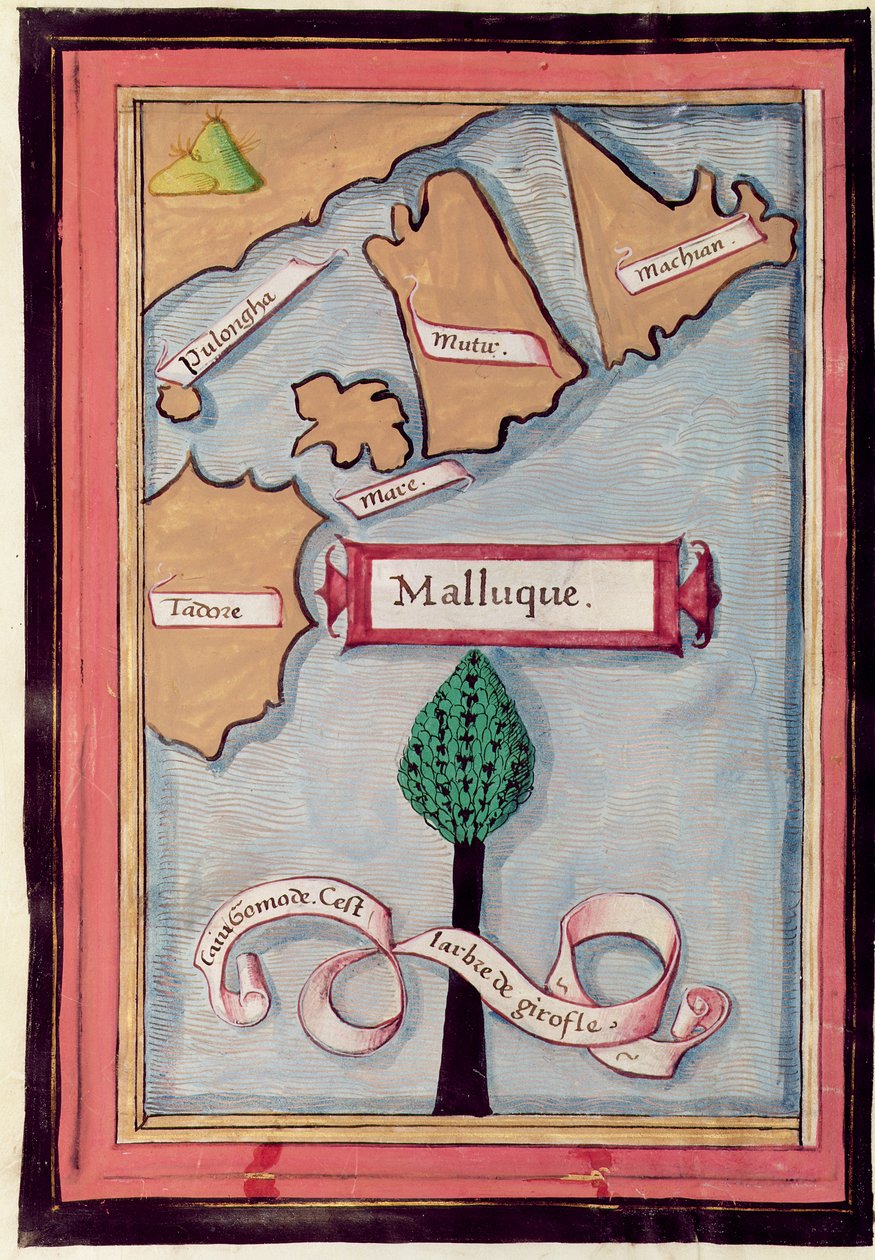 Ms 24224 Fol.73v Mapa das Ilhas das Especiarias a partir de uma conta da Viagem de Fernão de Magalhães de French School