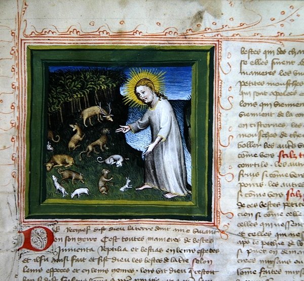 Sra. 313 Criação dos Animais, da Bíblia des Grands Augustins de French School