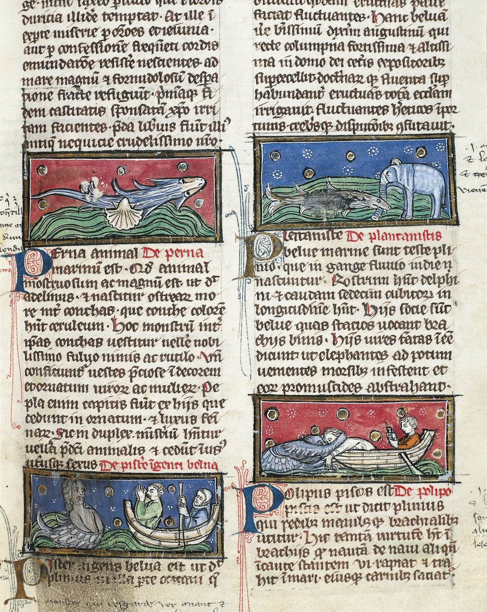320 Fol.116 Monstros Marinhos, de 