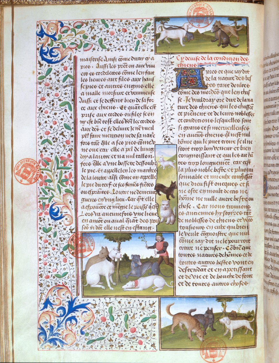 Ms 3717 Cães de caça, do Livre de la Chasse de Gaston Phebus de Foix (1331-91) (vellum) de French School