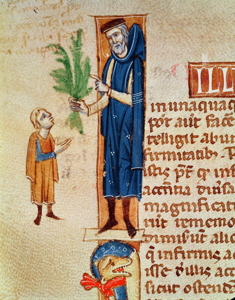 Ms 413 f.92v Medicinal Plants, ilustração de Traite de Medecine de Claudius Galenus (c.130-c.201) traduzido por Gerard de Cremone (1114-87) de French School