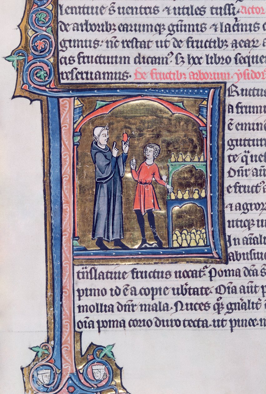 Ms 426 fol.135 Ensinando a melhor maneira de preservar as peras, de The Mirror of Nature de Vincent de Beauvais de French School