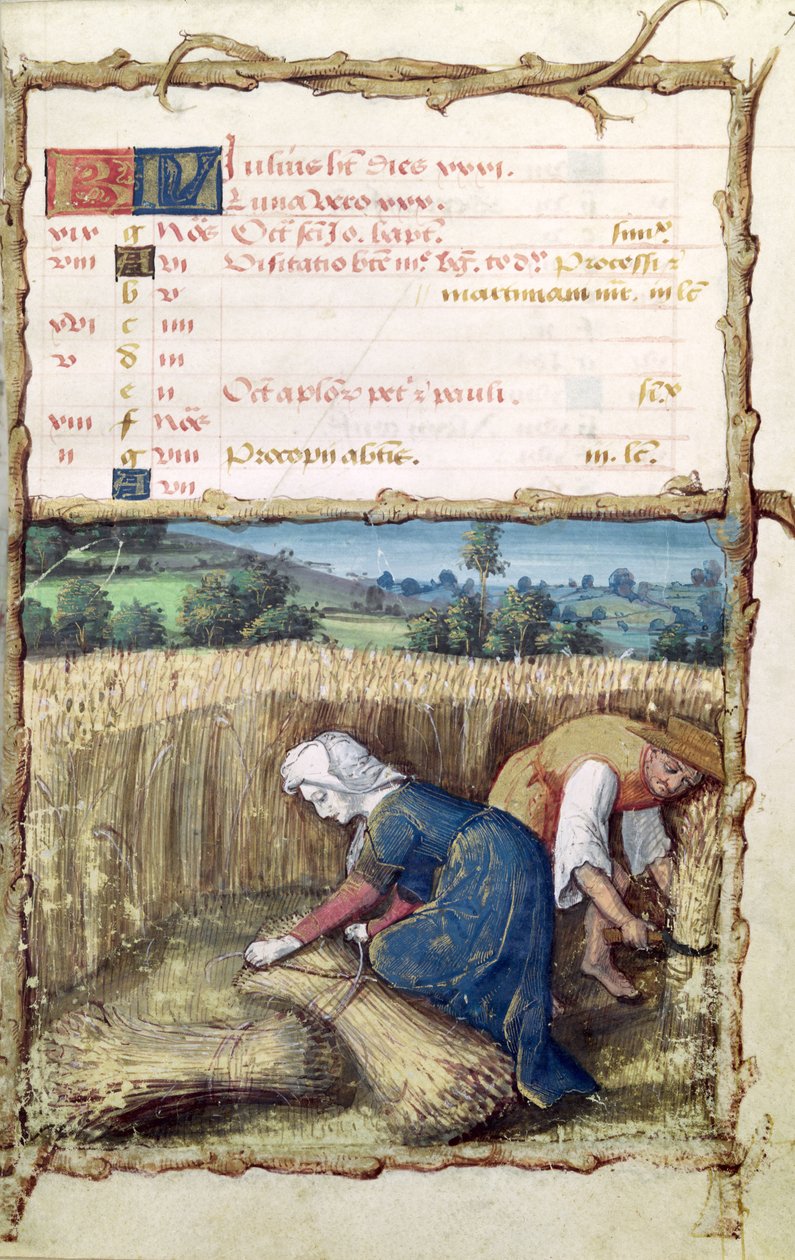 Ms 438 O Mês de Julho: Colhendo e Colhendo Trigo, de um Livro de Horas, 1490 de French School