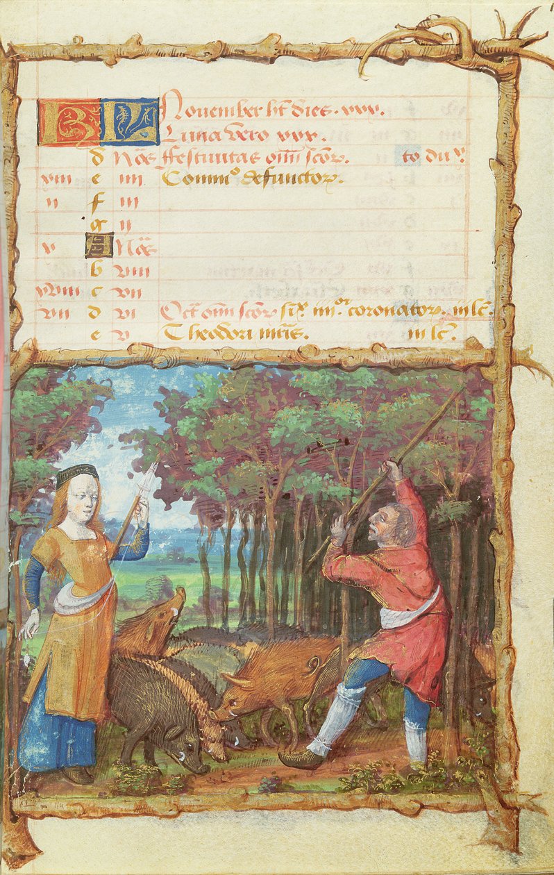 Ms 438 O Mês de Novembro: Recolhendo Bolotas, de um Livro de Horas, 1490 de French School