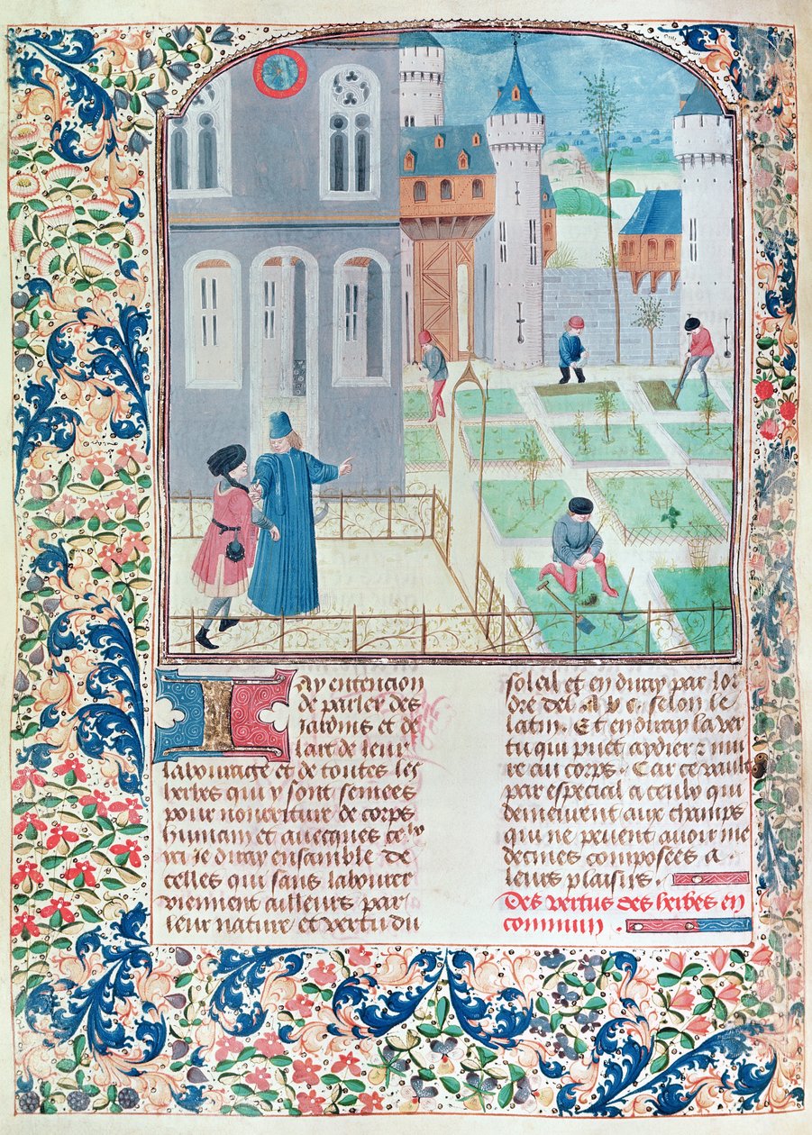 Ms 5064 f.151v O Jardim, ilustração de Le Livre des Prouffitz Champestres por Pietro de Crescenzi (1230-132021) de French School