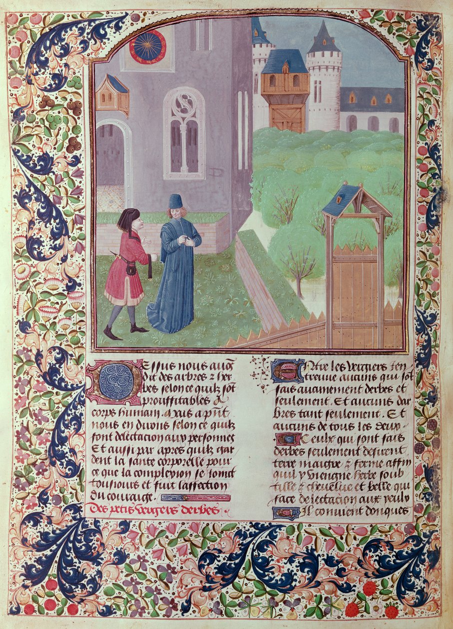 Ms 5064 f.202v The Orchard, ilustração de Le Livre des Prouffitz Champestres de Pietro de Crescenzi (1230-132021) de French School