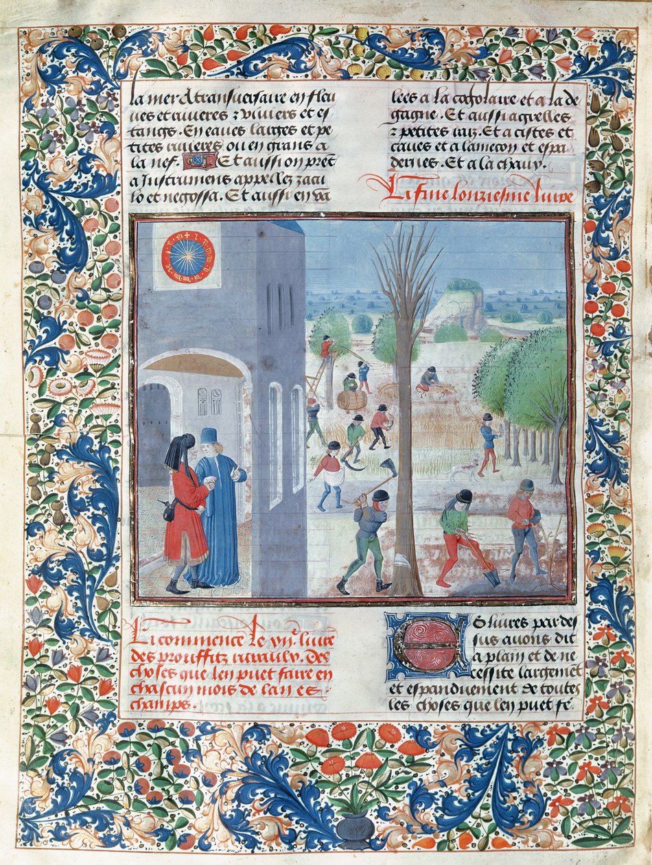 Ms 5064 f.299v Ocupações para cada mês do ano, ilustração de Le Livre des Prouffitz Champestres por Pietro de Crescenzi (1230-132021) de French School