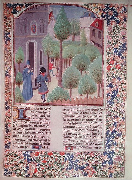 5064 fol.105r Plantar árvores, de Livre des Prouffitz Champestres de Pietro de Crescenzi (1230-132021) de French School