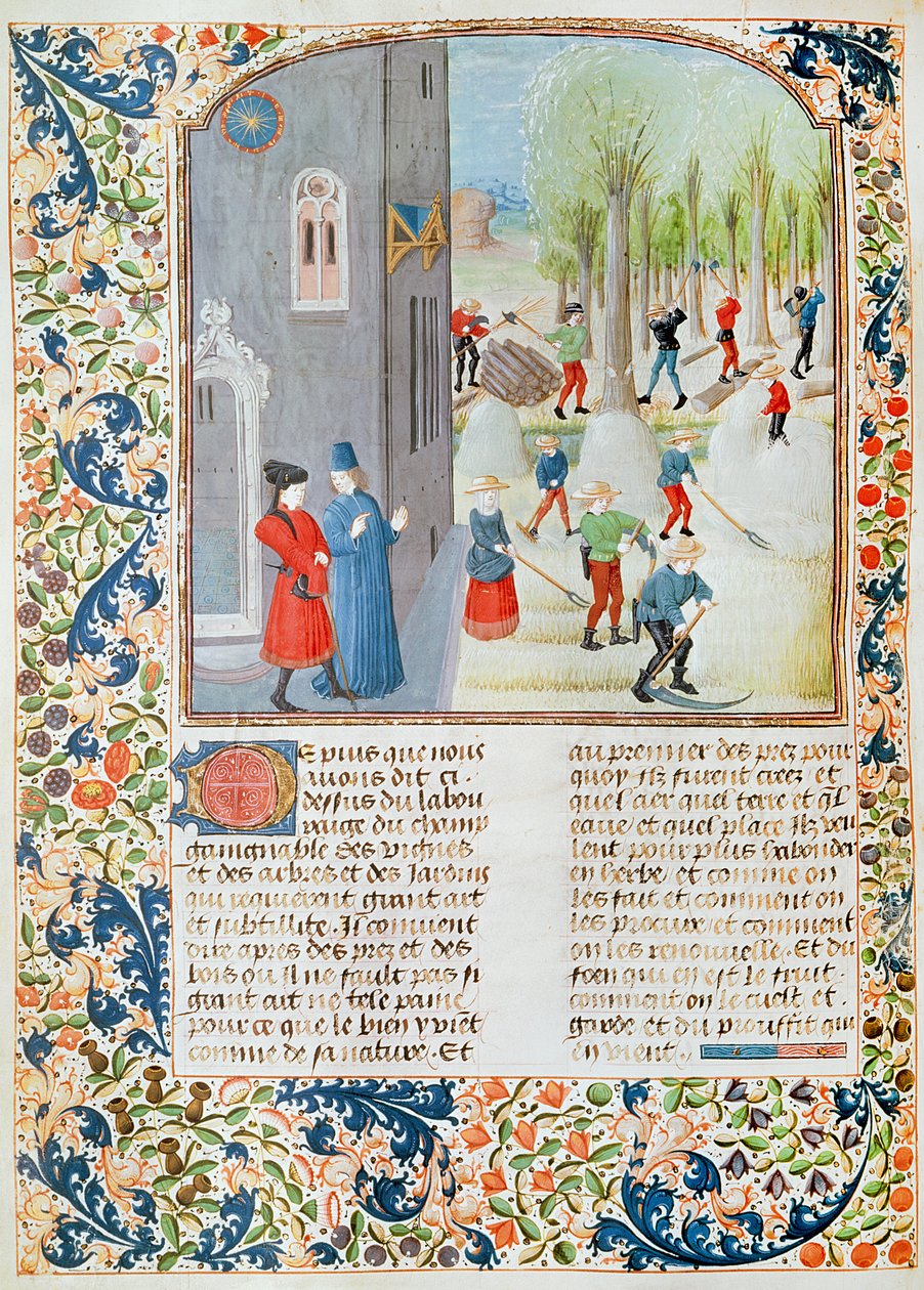 5064 fol.198v Cortando Árvores e Colheita, de Livre des Prouffitz Champestres de Pietro de Crescenzi (1230-132021) de French School