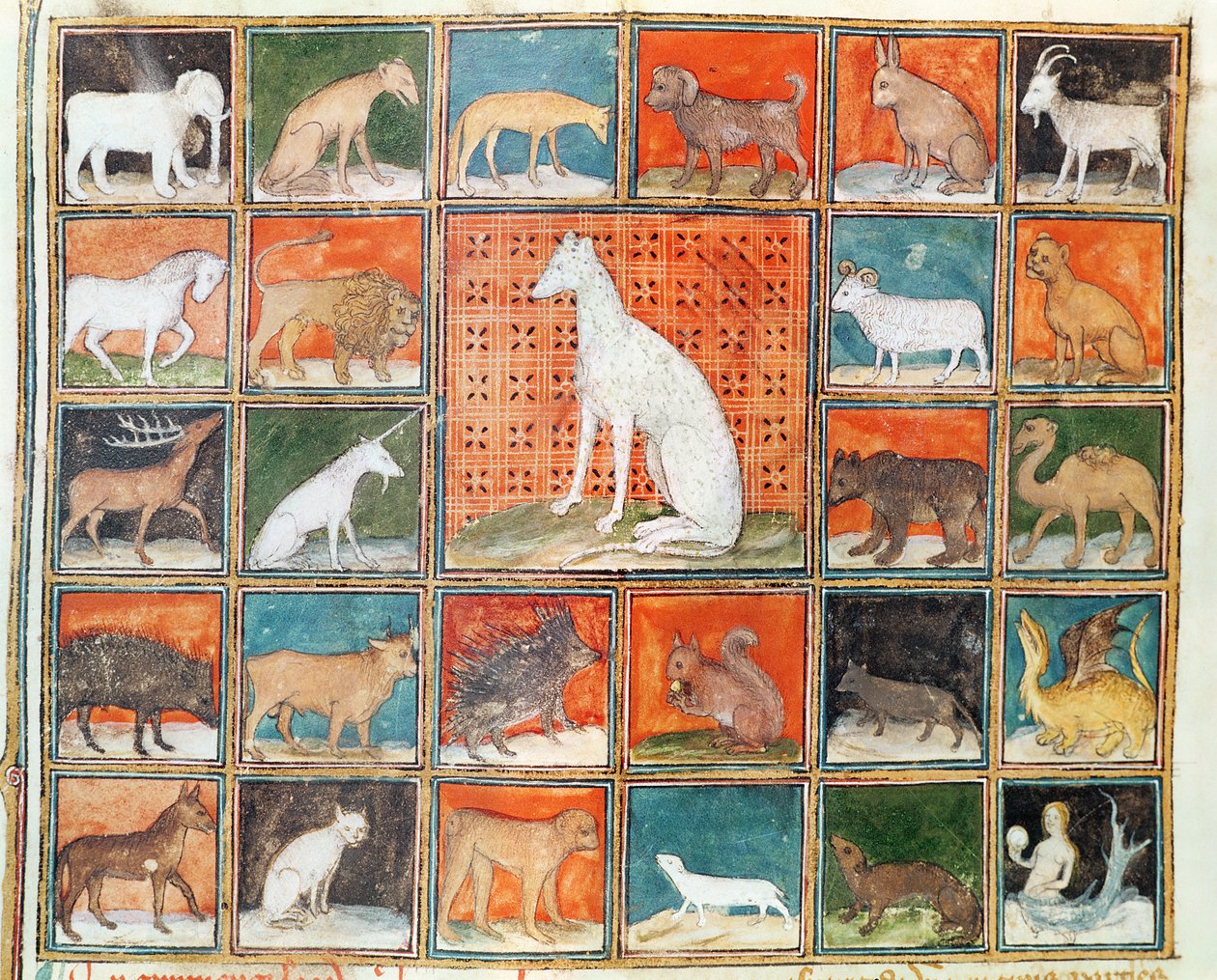 Ms 993 fol.254v As propriedades de bestas: Os mamíferos, do livro das coisas por Jean Cordichon de French School