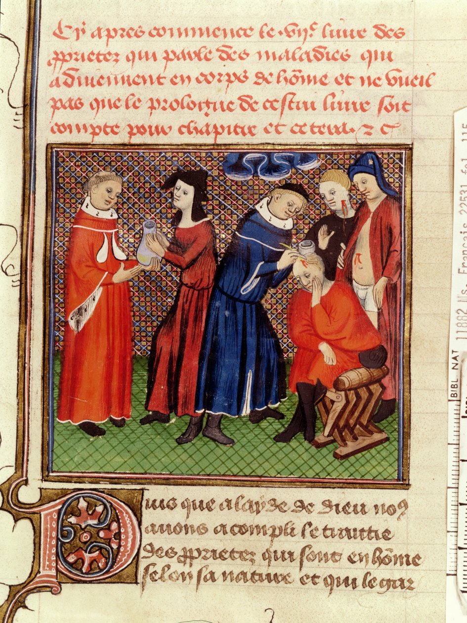 Sra. Fr 22531 Fol.115 O Exame de Urina e a Cura de Feridas, de Le Livre des Propriets des Choses por Barthelemy lAnglais, c.1410-15 de French School
