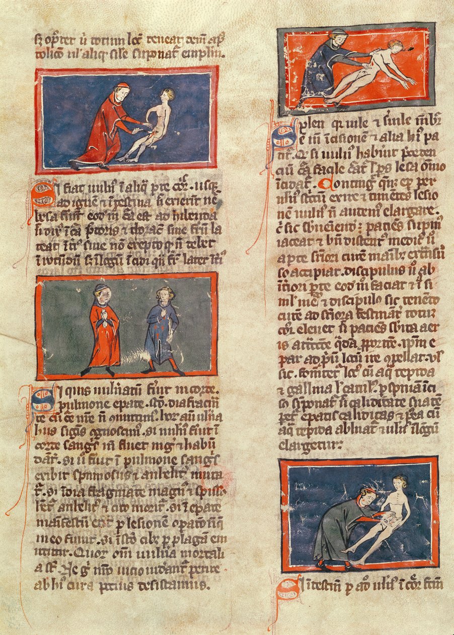 Ms H 89 fol.21v Figuras anatômicas, de uma edição do &39;Book of Surgery&39; por Rogier de Salerne de French School
