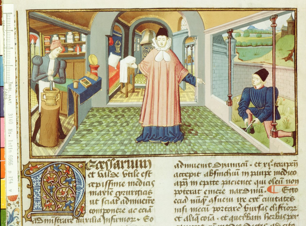 Ms Lat 6966 fol.154v Plantas de corte e preparação de medicamentos, da LAntidotaire por Bernard de Gordon de French School