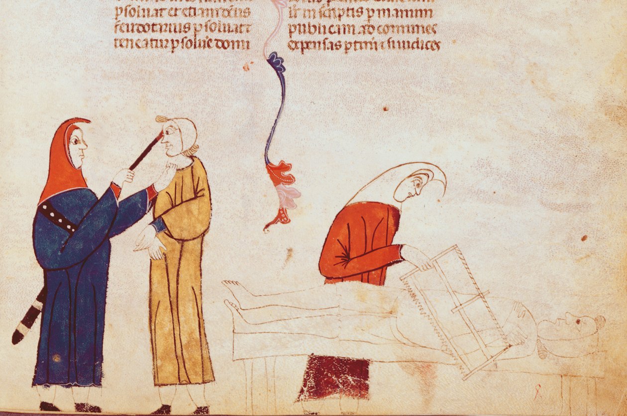 Ms Lat 9187 fol.24 Cena da tortura, da alfândega de Toulouse de French School