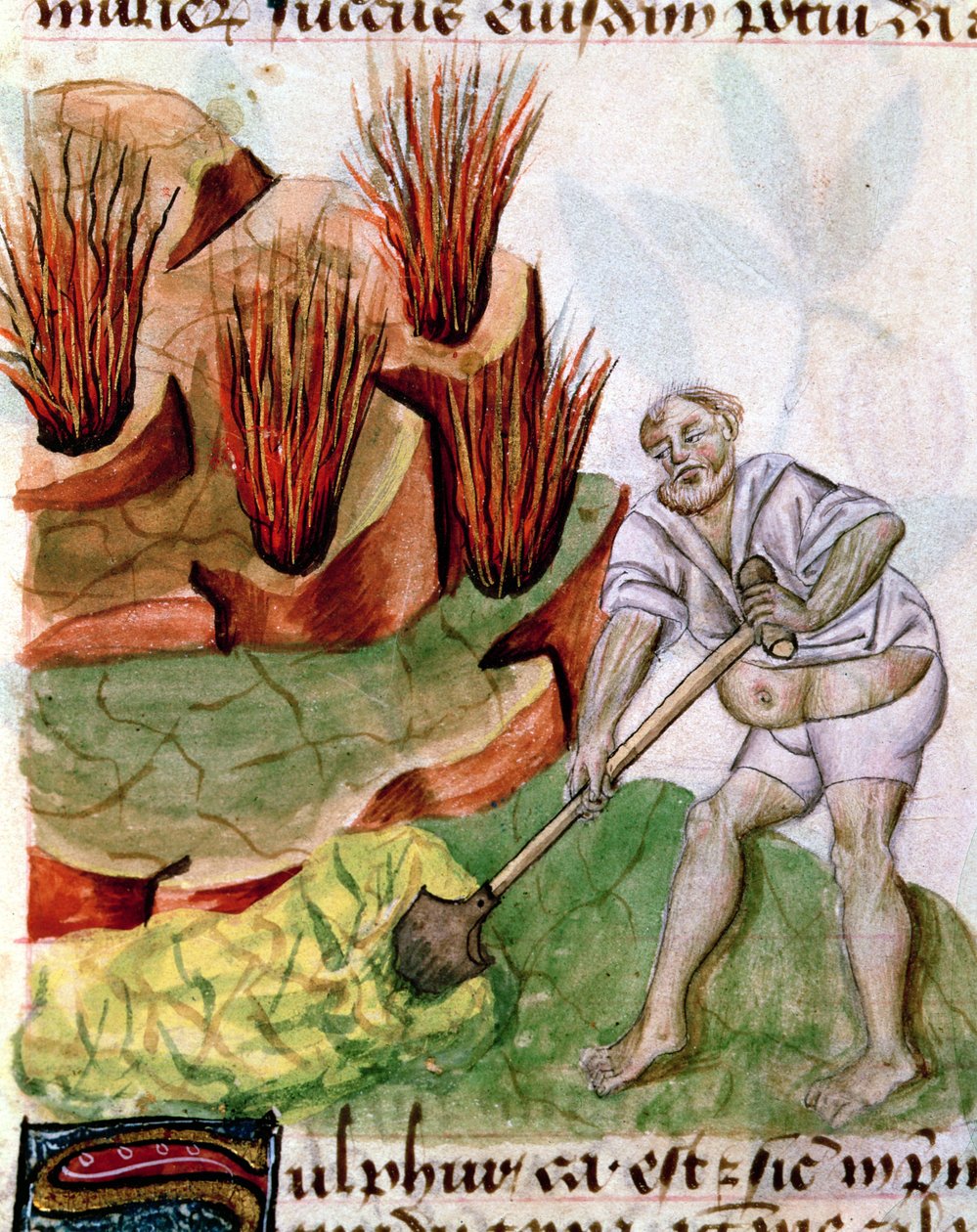 Ms Lat 993 L.9.28 f.123v Procurando por Enxofre, de Dioscorides De Herbis de French School