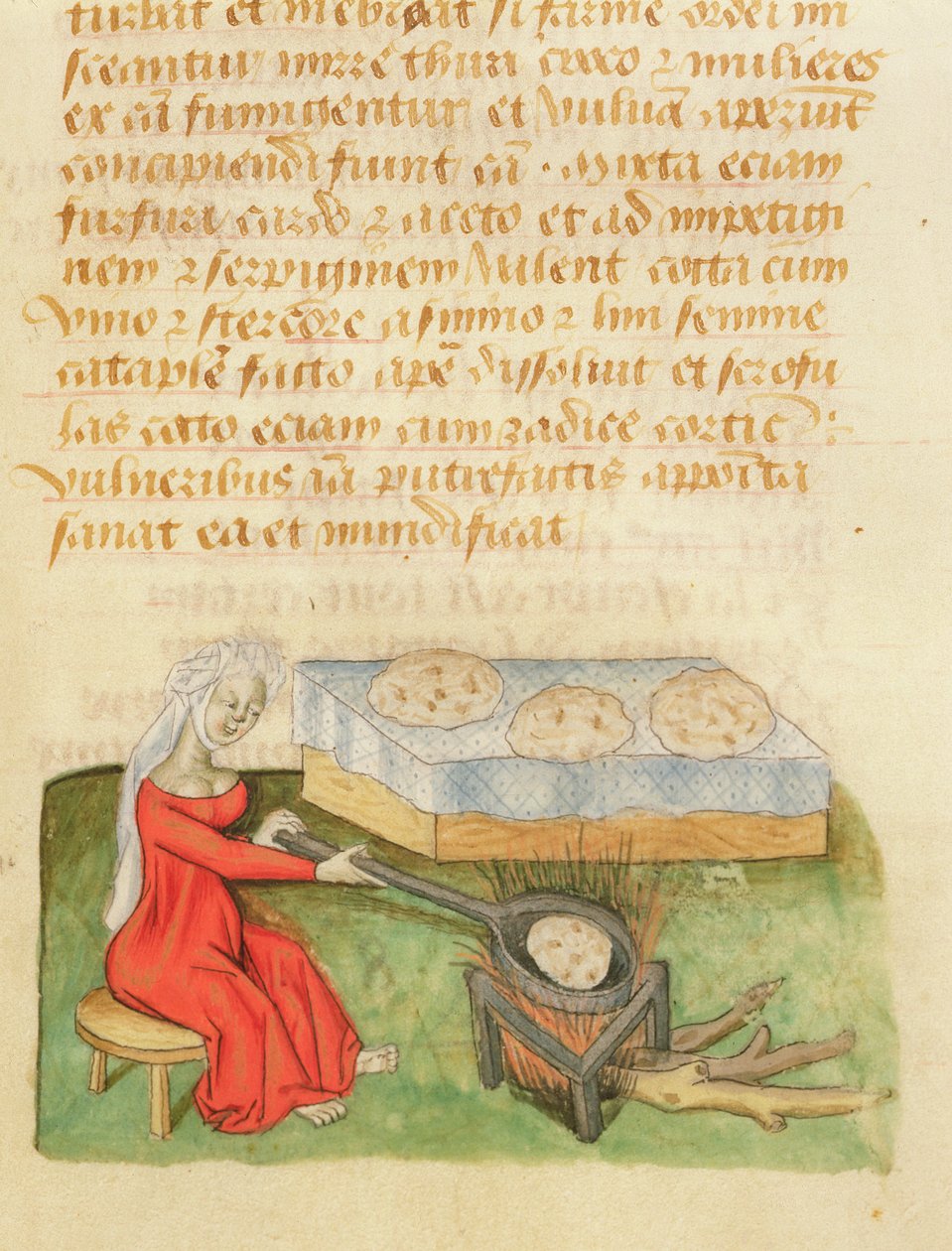 Ms De ervas por Dioscorides fol.142r cozimento Bolos de French School