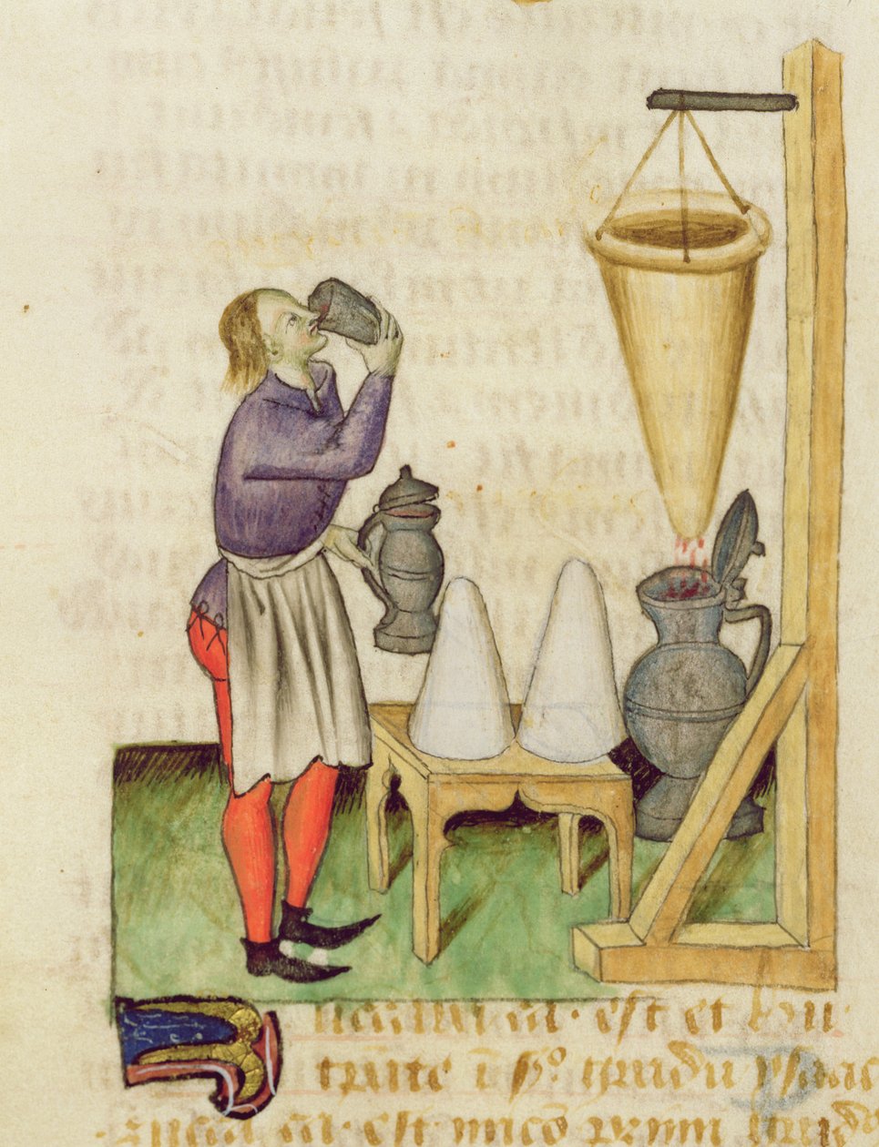 Ms De ervas por Dioscorides fol.142r tornando álcool de French School