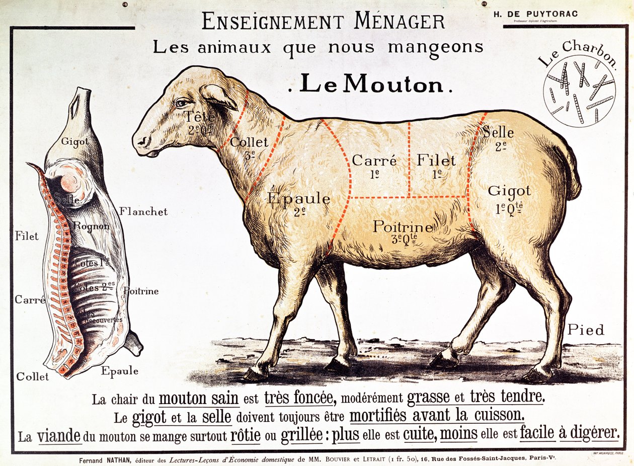 Carneiro: diagrama representando os diferentes cortes de carne de French School