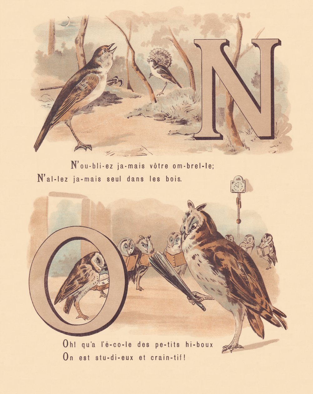 NÃO: Nightingale, nupcial, coruja, ortografia de French School