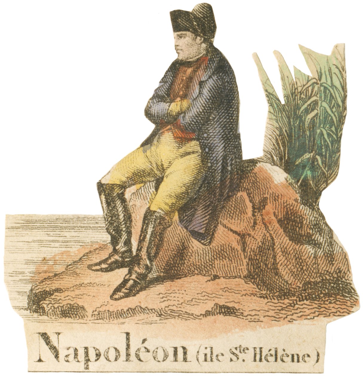 N como Napoleão de French School