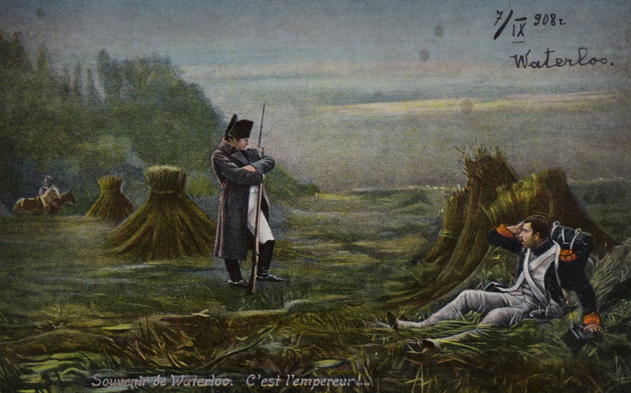 Napoleão em Waterloo (litografia a cores) de French School