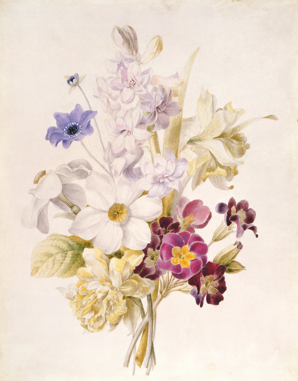 Narciso e outras flores, 1840 (wc no papel) de French School