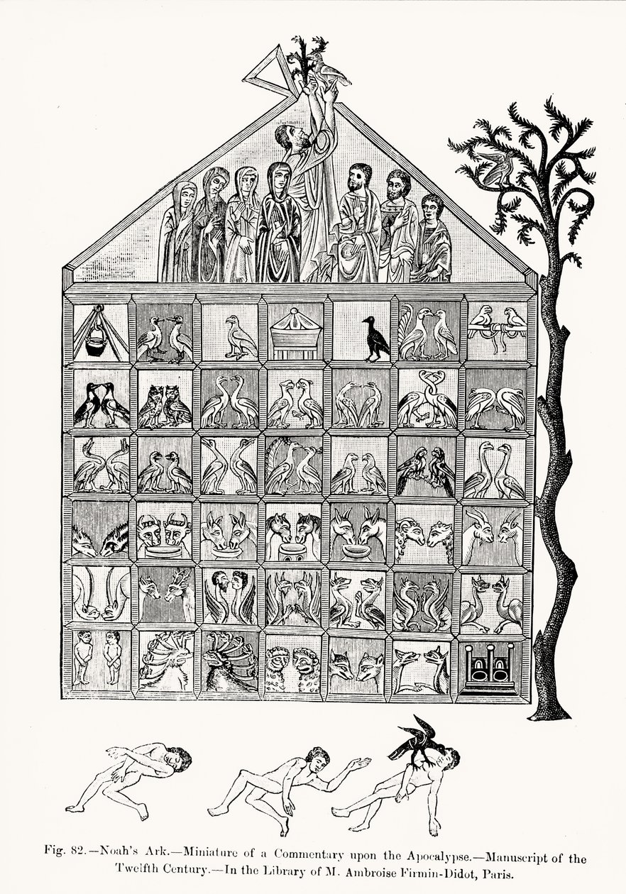 Arca de Noé, miniatura de um Comentário sobre o Apocalipse, ilustração da Ciência e Literatura na Idade Média e Renascença, escrita e gravada por Paul Lacroix, 1878 (bw phot de French School