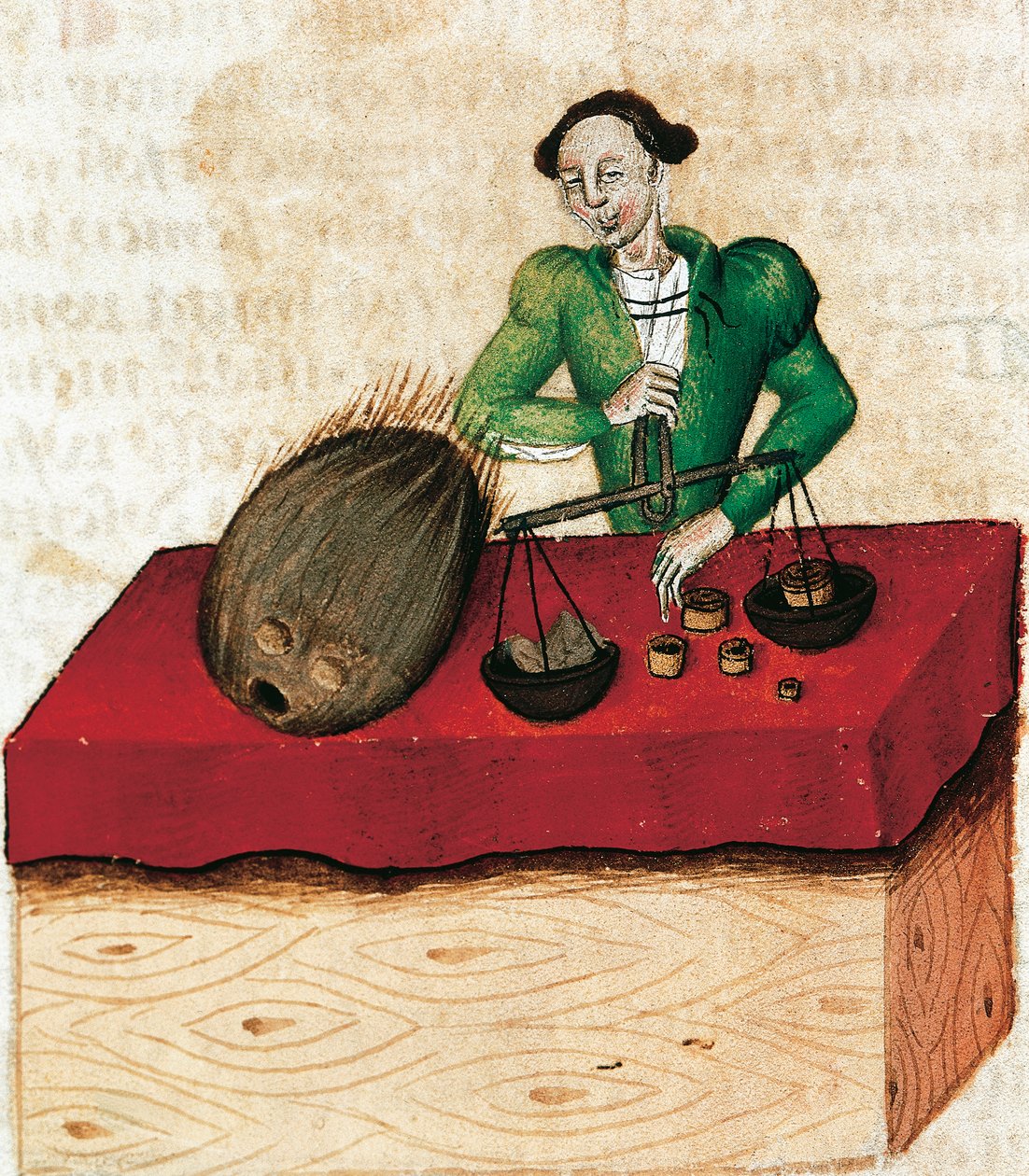 Comerciante de noz-moscada, miniatura de Tractatus de herbis, França Século XV. de French School