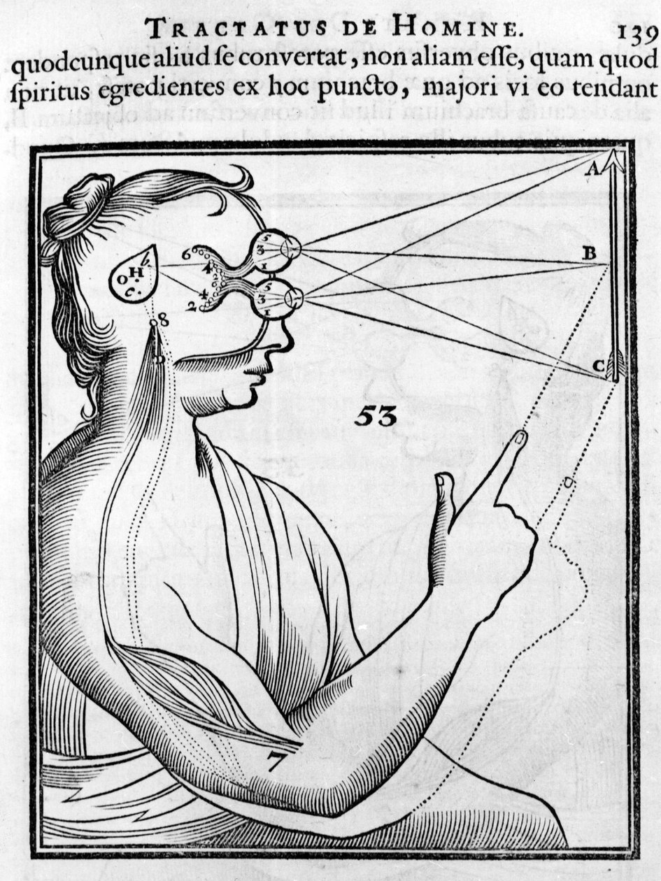 Oftalmologia: o olho e a visão. Do "Tractatus de Homine" de René Descartes de French School