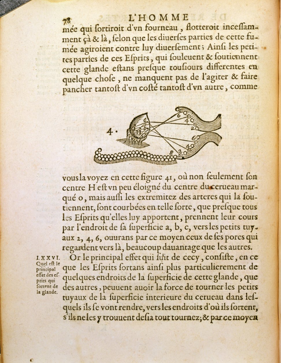Diagrama óptico, de De Homine Figuris, de René Descartes (1596-1650), publicado em Haia, 1662 de French School