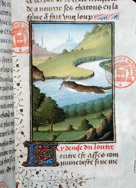 A pesca da lontra, do Livre de la Chasse de Gaston Phebus de Foix (1331-91) (vellum) de French School