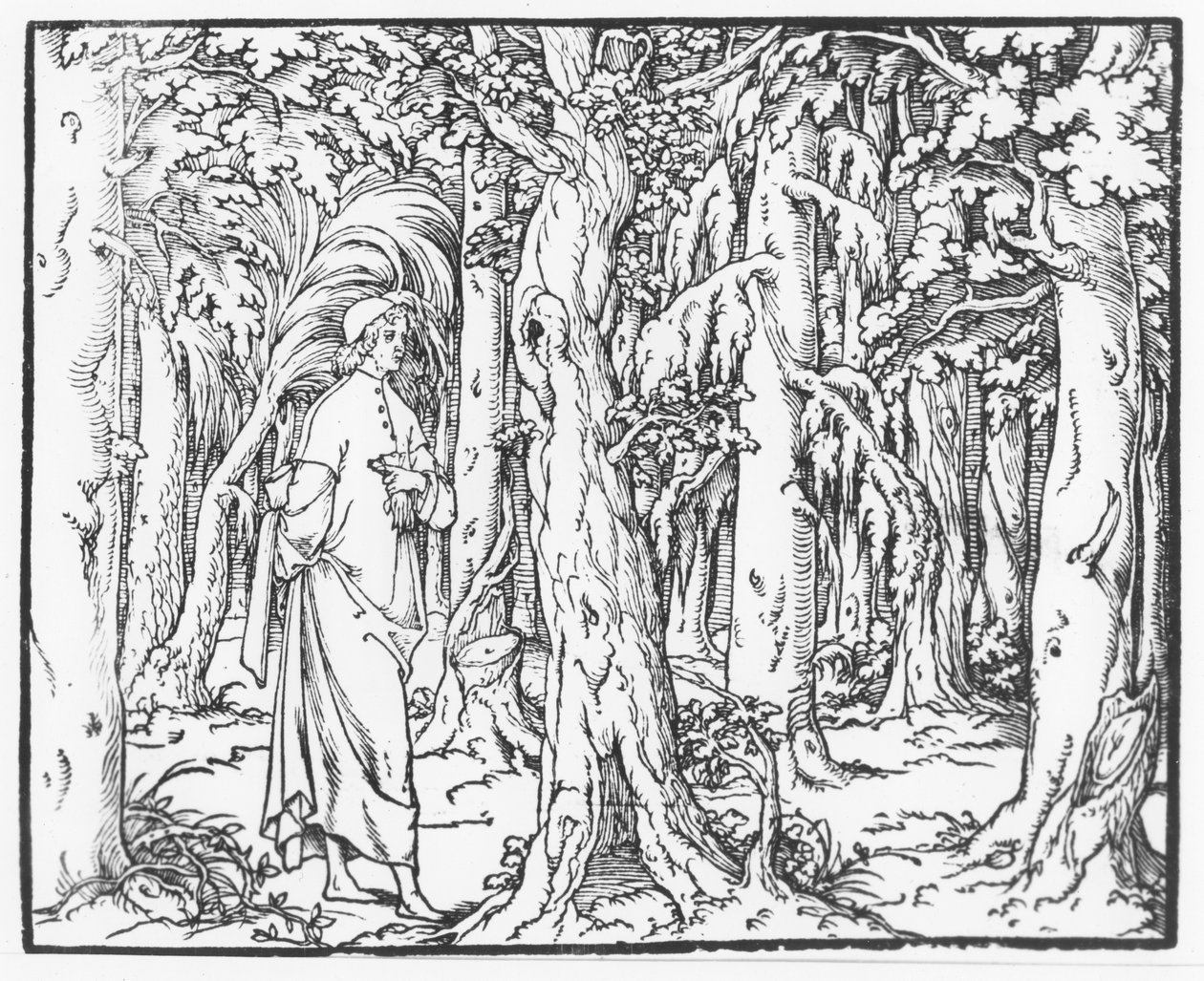 Página de "Discurso do Sonho de Polifile", de Francesco Colonna, 1546 de French School