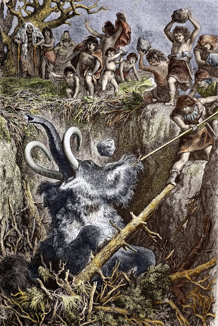 Paleolítico: cena de caça aos mamutes, uma tribo de homens pré-históricos atira pedras a um mamute cai numa fossa (tempos do paleolítico: homens europeus das cavernas caçando um mamute cai numa fossa) Gravura da colecção privada do século XIX de French School