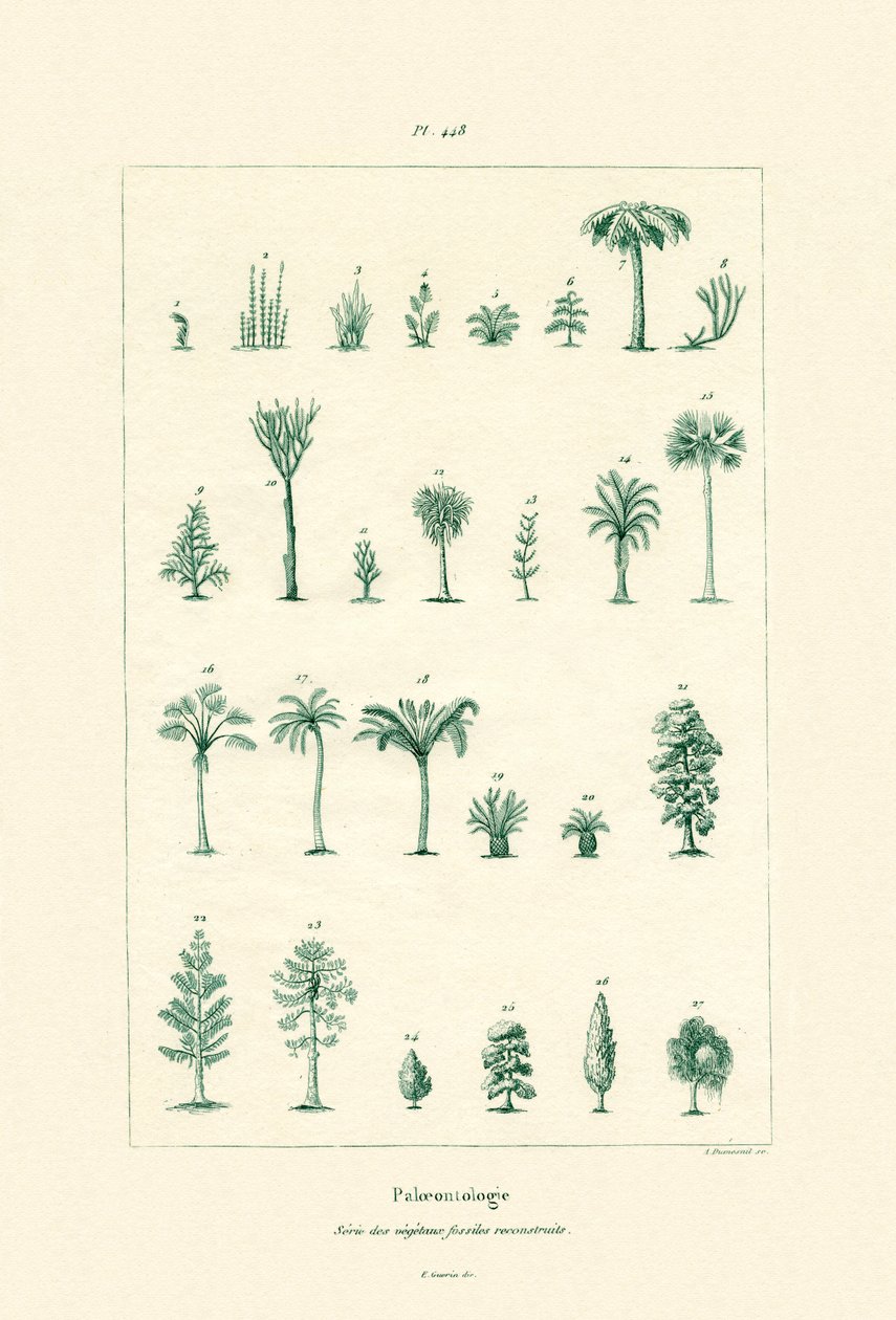 Paleontologia, 1833-39 de French School
