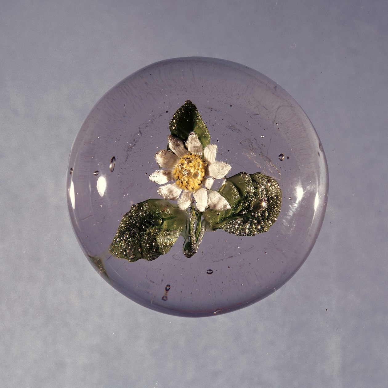 Paperweight, Pantin Workshop, c.1850 (vidro) de French School