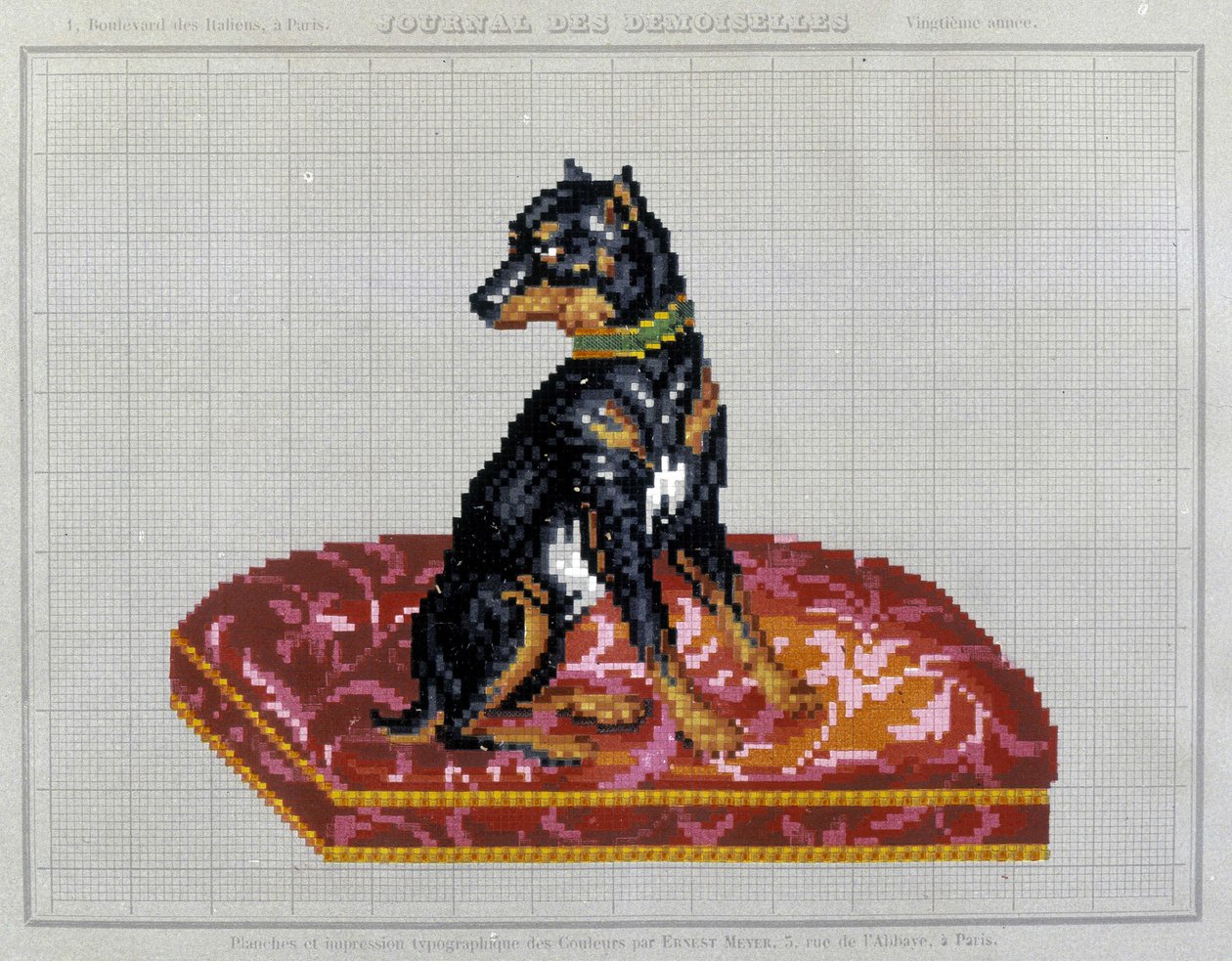 Molde para bordar em ponto cruz (cão) - em "Journal des Demoiselles" 1852. de French School