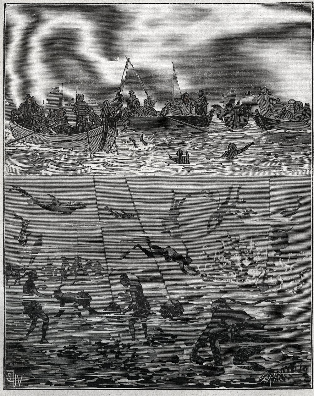 Pescadores de pérolas no Ceilão (actual Sri Lanka) no século XIX. Gravura de 1885 em "Les arts et metiers illustres" de Adolphe BITARD. de French School
