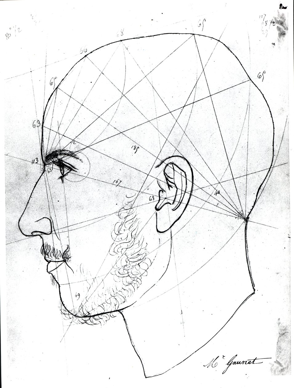 Estudo frenológico, de um manuscrito da biblioteca do Doutor Philippe Jean Pelletan (1747-1829) (caneta e tinta sobre papel) de French School
