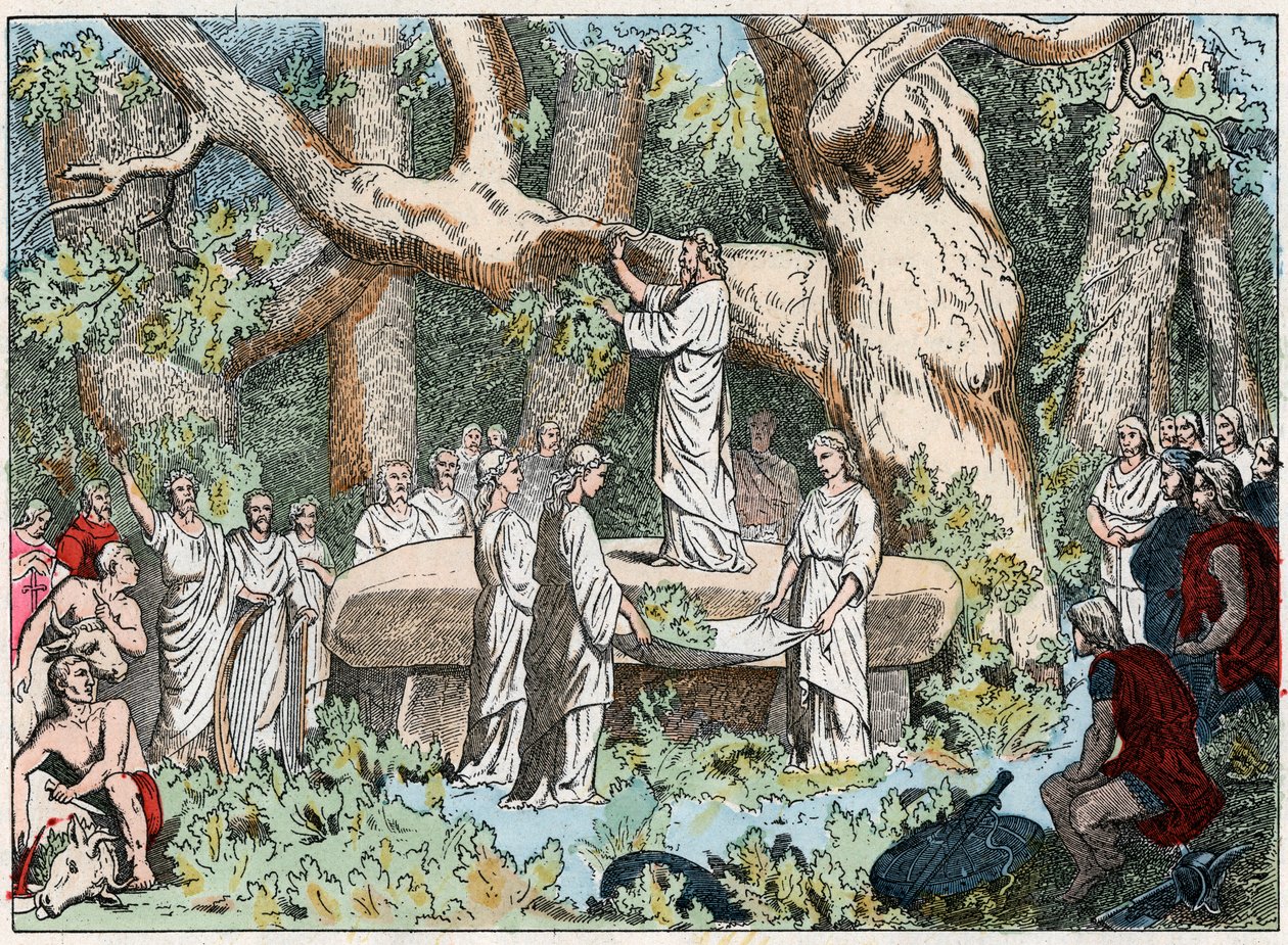 Colheita de visco dos druidas em Gaule, final do século XIX (gravura) de French School